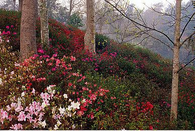 第一人称生存恐怖游戏《永无止境》发布实机预告片